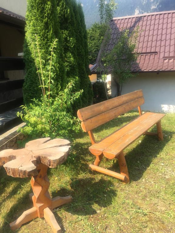 Casa De Vacanta Elena Sinaia Dış mekan fotoğraf
