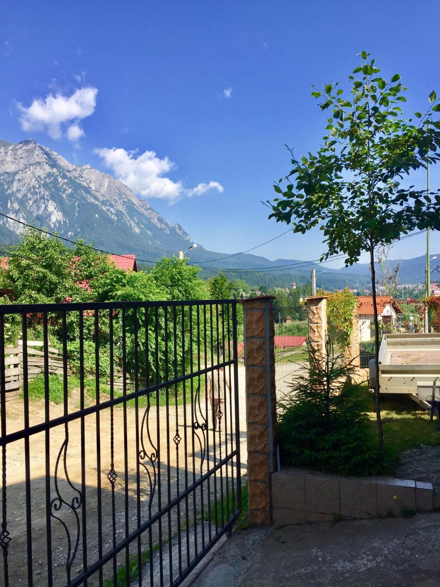 Casa De Vacanta Elena Sinaia Dış mekan fotoğraf